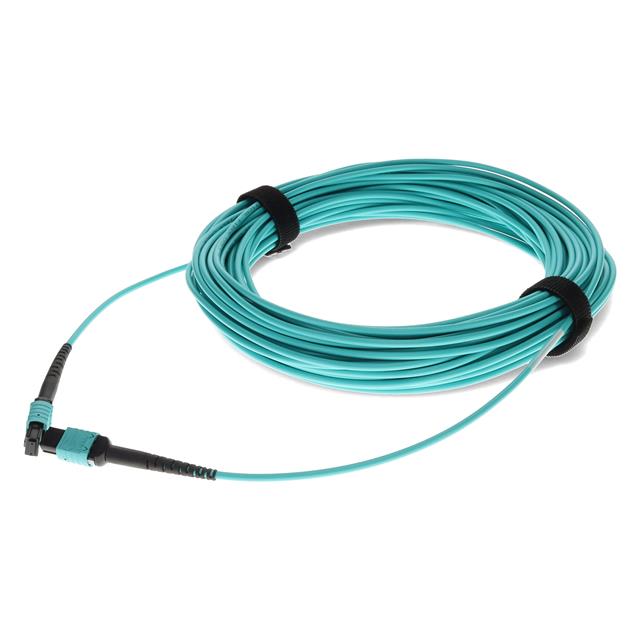 C-MPOMPO-13M5OM4P